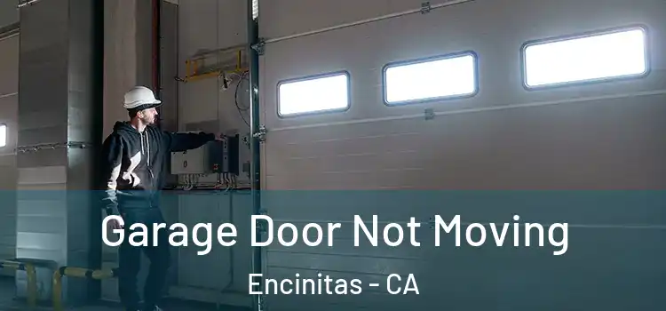  Garage Door Not Moving Encinitas - CA