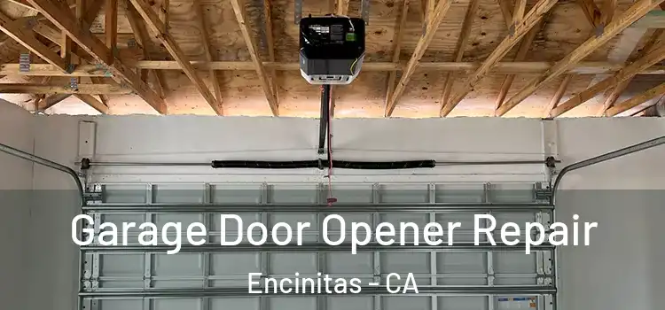  Garage Door Opener Repair Encinitas - CA