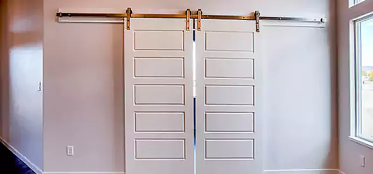 Glass Barn Door with Installation Hardware Kit Encinitas