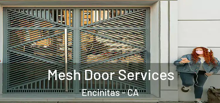  Mesh Door Services Encinitas - CA