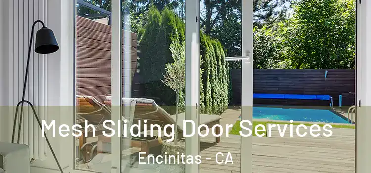 Mesh Sliding Door Services Encinitas - CA